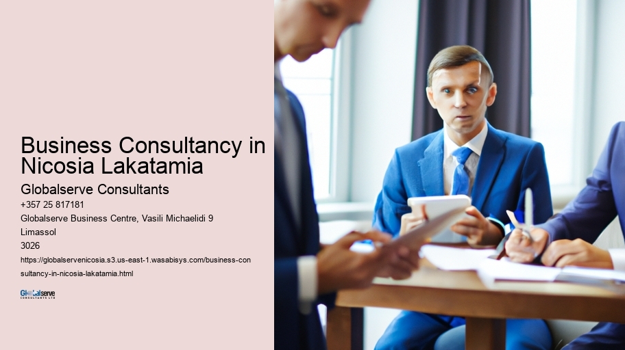Business Consultancy in Nicosia Lakatamia